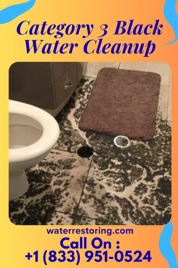 Category 3 Black Water Cleanup in Benton, LA